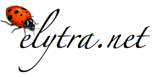 elytra.net wordmark with ladybug beetle